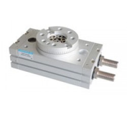 10 Rotary Actuator